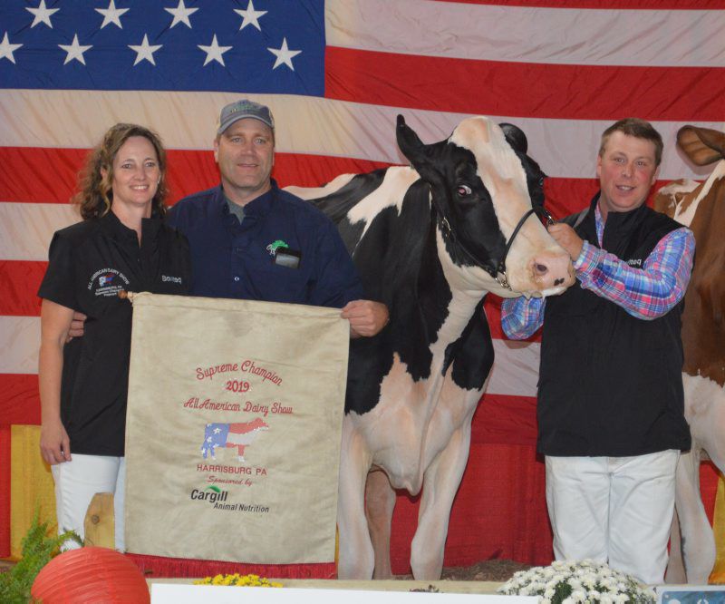 AllAmerican-Champ3.jpg